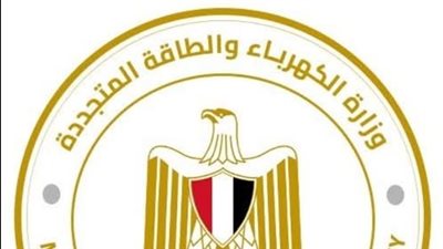 الكهرباء تعلن عودة التيار لشبكة توزيع جزيرة الدهب 