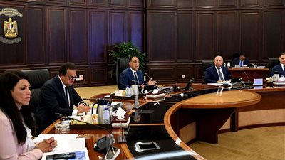 الحكومة توافق على نقل تبعية مستشفى الخارجة إلى جامعة الوادي الجديد