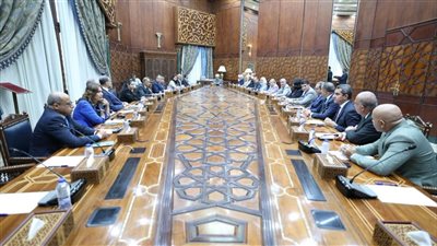 شيخ الأزهر خلال لقائه سفراء مصر الجدد: غزة تتعرض للإبادة بشتى الوسائل 