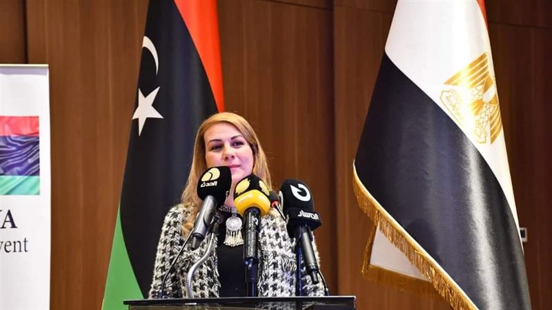 مى حلمى المدير التنفيذي
