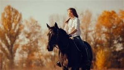  تفسير رؤية ركوب الحصان في المنام وعلاقتها بالوصول إلى مكانة مرموقة 