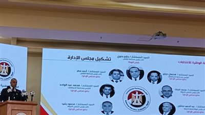 انتخابات مجلس الشيوخ 2025 المصرية في تونس، موعد الانطلاق وأيام التصويت