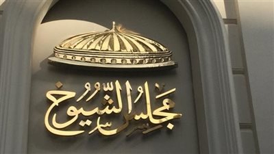 قبل ساعات من انتهاء الانتخابات، اشتراطات وضوابط لتعيين أعضاء مجلس الشيوخ