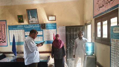 أسوان تستعد لانتخابات مجلس الشيوخ بـ 190 لجنة (صور)