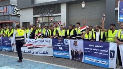 انتخابات مجلس الشيوخ المصرية 2025، بدء ثاني أيام التصويت في 5 دول أوروبية وأفريقية 