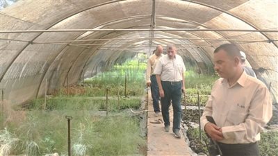 زراعة أسيوط تتفقد أعمال المكافحة البستانية بمشتل البداري 