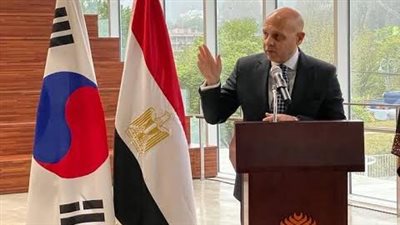 السفير المصري في كوريا الجنوبية: انتخابات مجلس الشيوخ تسير بسلاسة 