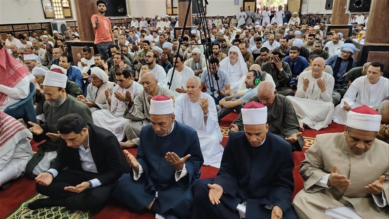 الدكتور محمد الهادى