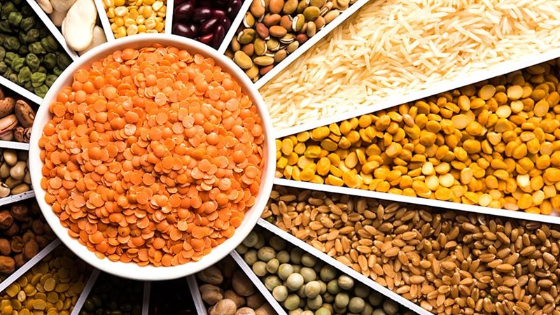 اسعار العدس اليوم،