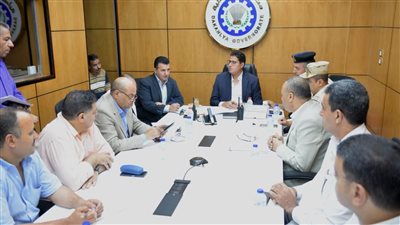 نائب محافظ الدقهلية يشهد محاكاة لمتابعة انتخابات مجلس الشيوخ 