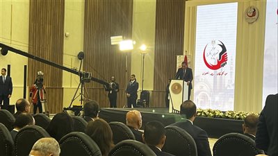 رئيس الوزراء للمصريين بالخارج: أنتم وجوه مشرفة وسفراء لوطنكم وتحويلاتكم ساعدت على تعظيم سعر الصرف