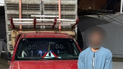 ضبط قائد سيارة اعتدى على مواطن بالسب والتهديد بعصا خشبية في الفيوم 