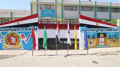 60 لجنة تستعد لاستقبال 194 ألف مواطن بانتخابات الشيوخ في الوادي الجديد 