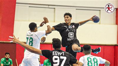 كلام نهائي، حضور مباريات بطولة العالم لكرة اليد للناشئين بـ