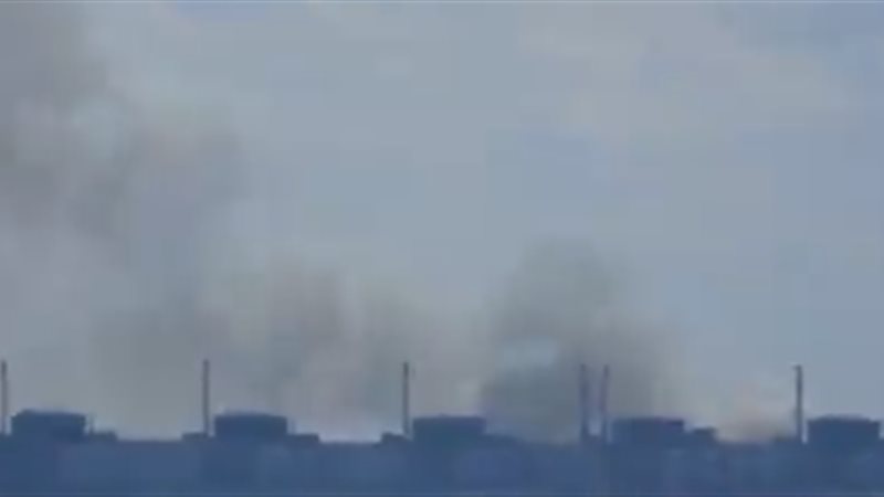 محطة زابوريجيا، فيتو