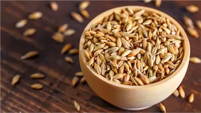 تفسير حلم الشعير في المنام وعلاقته بالحصول على أموال كثيرة قريبا 