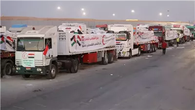 بدء دخول شاحنات المساعدات من مصر إلى قطاع غزة (فيديو)