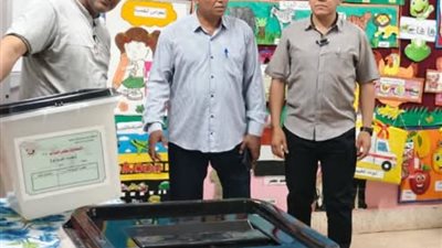 لجان الوادي الجديد جاهزة لاستقبال الناخبين في انتخابات مجلس الشيوخ 2025