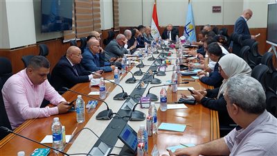 محافظ القاهرة: العملية الانتخابية تسير بدون معوقات