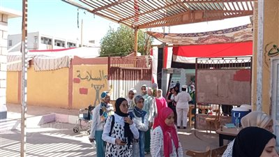 المرأة والشباب يزينون الطوابير أمام لجان انتخابات مجلس الشيوخ بالوادي الجديد (صور)