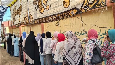 إقبال كثيف على لجان انتخابات الشيوخ في إدفو بأسوان (صور) 