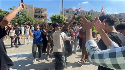 رقص وأغاني وطنية أمام لجان انتخابات مجلس الشيوخ بمدينة نصر والتجمع (فيديو وصور) 