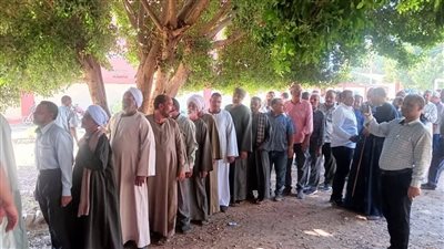 أهالي دشنا بقنا يصطفون في طوابير أمام لجان انتخابات مجلس الشيوخ (صور)