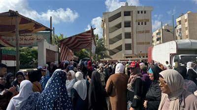 كبار السن يصطفون أمام لجان انتخابات مجلس الشيوخ في الإسكندرية (صور) 