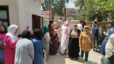 رافعين علم مصر، الناخبون يصطفون أمام اللجان الانتخابية بالغربية (فيديو)