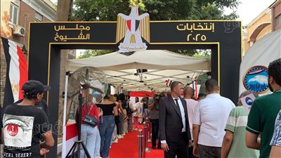 بالأرقام، إعلان نتائج الحصر العددي لفرز الأصوات بالإسكندرية في انتخابات مجلس الشيوخ