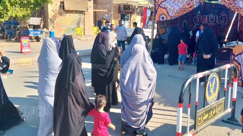 انتخابات مجلس الشيوخ