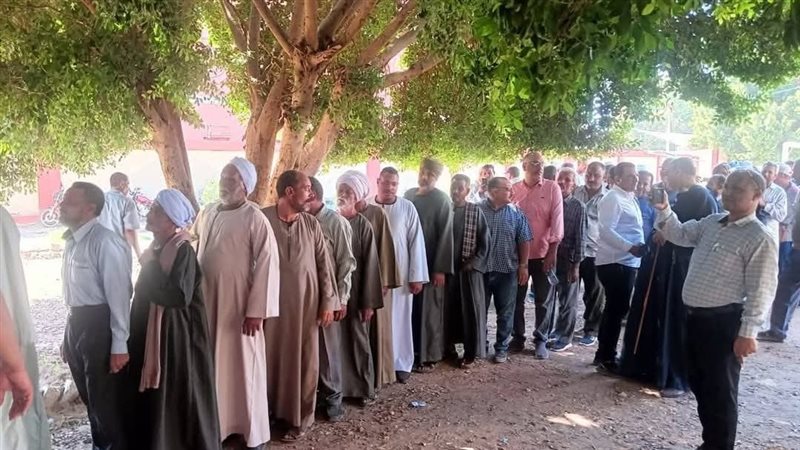 هالي دشنا بقنا يصطفون