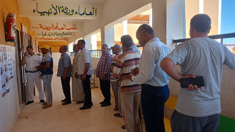 انتخابات الشيوخ،