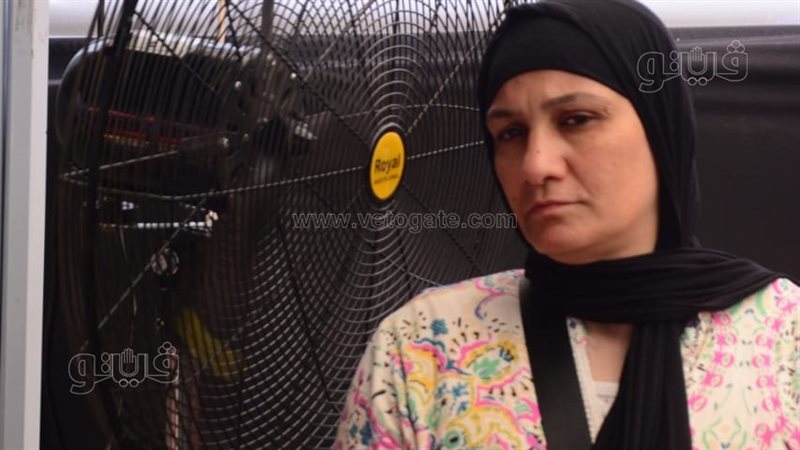 انتخابات مجلس الشيوخ