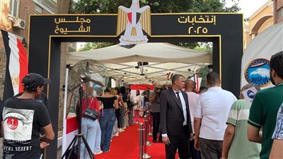 انتخابات مجلس الشيوخ 2025، الهيئة الوطنية للانتخابات تعلن بدء ساعة الراحة باللجان 