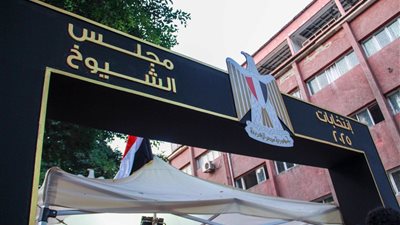 انتخابات الشيوخ 2025، إقبال ضعيف على لجنة التربية الفنية بالزمالك قبل غلق التصويت (صور)
