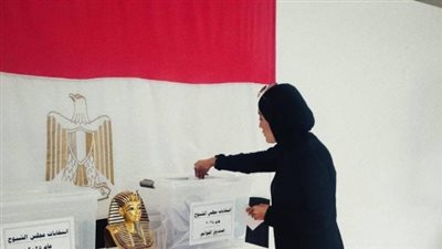 تزامنا مع الانتخابات، تعرف على مدة عضوية مجلس الشيوخ حسب القانون