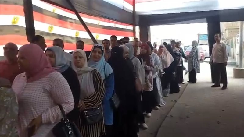 انتخابات الشيوخ بالقليوبيه،فيتو