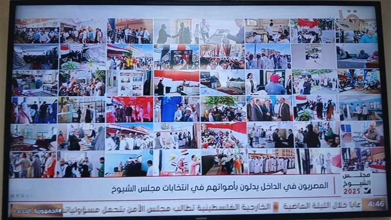 انتخابات مجلس الشيوخ.فيتو