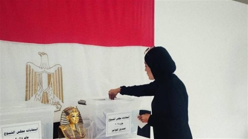انتخابات، فيتو