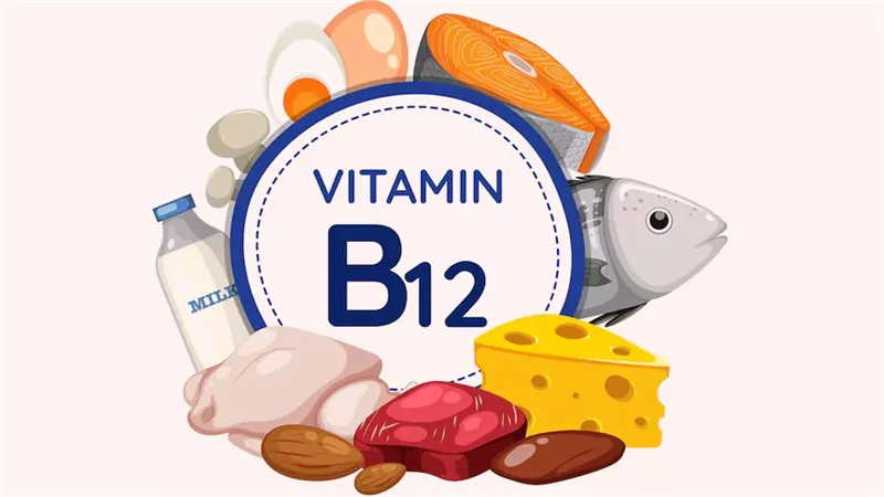 فيتامين B 12