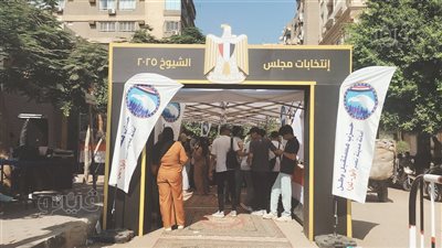 خريطة مقاعد مجلس الشيوخ 2025.. توزيع المحافظات ونصيب كل حزب في الدلتا والصعيد ووجه بحري