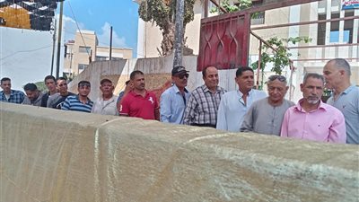 الائتلاف المصري: مشاركة لافتة في المحافظات الحدودية خلال انتخابات مجلس الشيوخ