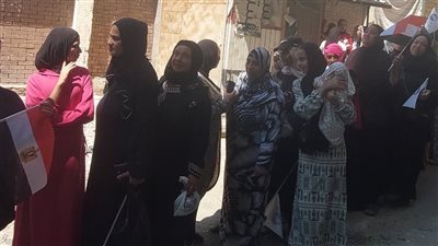 السيدات والشباب يتصدرون انتخابات الشيوخ بلجان حي العجمي بالإسكندرية (صور)