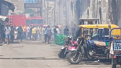 السيطرة على حريق مخزن بلاستيك في مينا البصل بالإسكندرية 