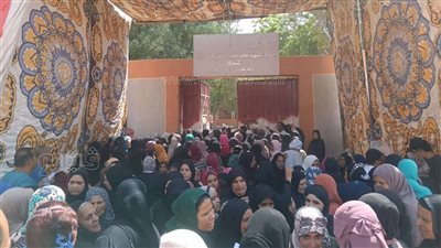 انتخابات مجلس الشيوخ 2025، سيدات أسوان يتصدرن المشهد ثانى أيام التصويت (صور)