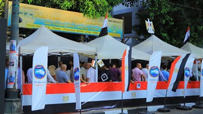 انتخابات مجلس الشيوخ 2025، توافد المواطنين على لجان 6 مناطق بالقاهرة (فيديو وصور)