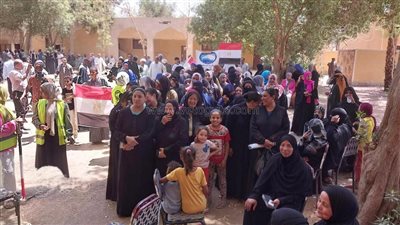 بالرغم من حرارة الطقس، توافد المواطنين على لجان انتخابات الشيوخ 2025 بإدفو ودراو بأسوان (صور)