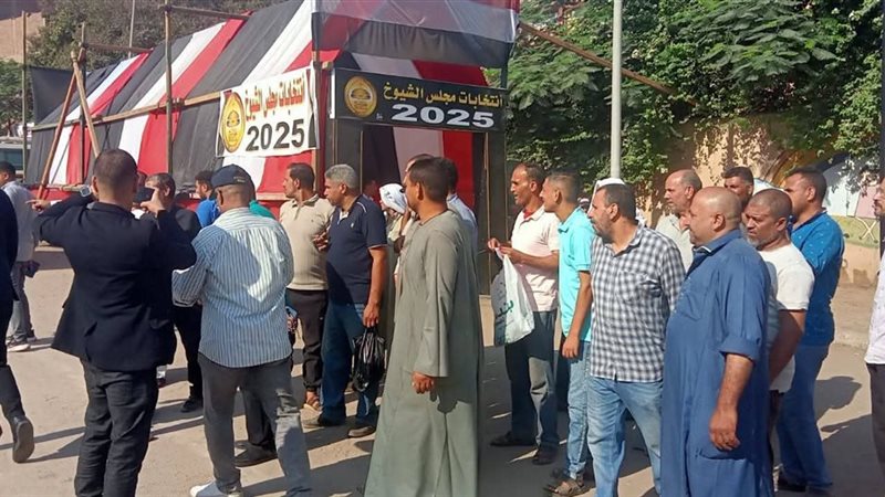 انتخابات مجلس الشيوخ