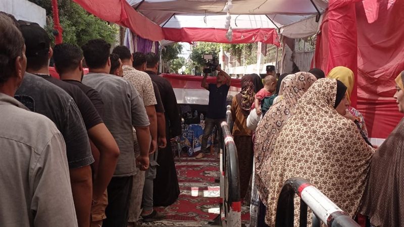 انتخابات الشيوخ بالقليوبيه،فيتو